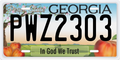 GA license plate PWZ2303