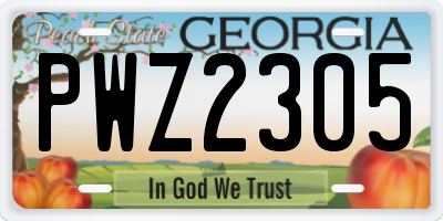 GA license plate PWZ2305