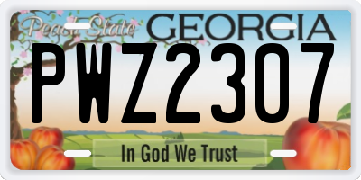 GA license plate PWZ2307