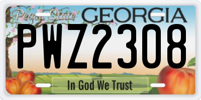 GA license plate PWZ2308