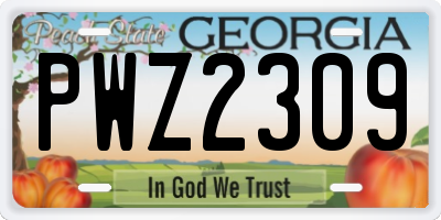 GA license plate PWZ2309