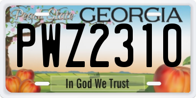 GA license plate PWZ2310