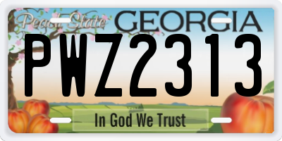 GA license plate PWZ2313