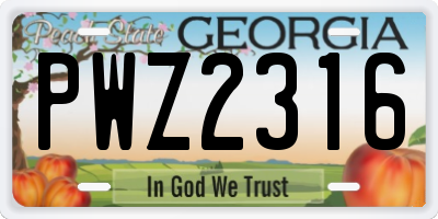GA license plate PWZ2316