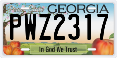 GA license plate PWZ2317