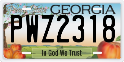 GA license plate PWZ2318
