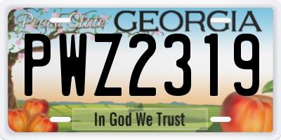 GA license plate PWZ2319