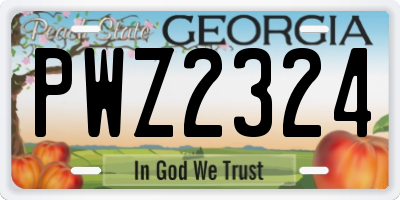 GA license plate PWZ2324