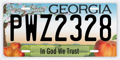 GA license plate PWZ2328