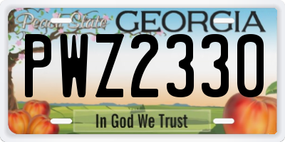GA license plate PWZ2330
