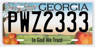 GA license plate PWZ2333