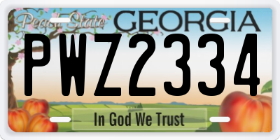 GA license plate PWZ2334