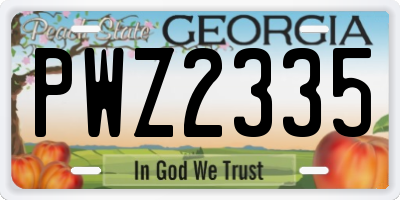 GA license plate PWZ2335