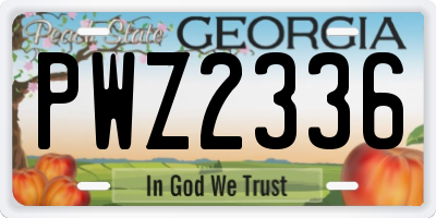 GA license plate PWZ2336