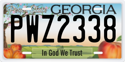 GA license plate PWZ2338