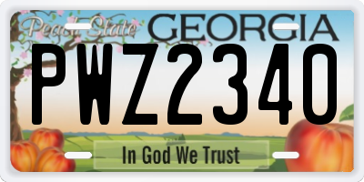 GA license plate PWZ2340