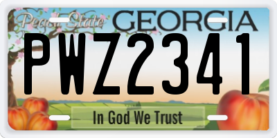 GA license plate PWZ2341