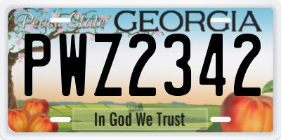 GA license plate PWZ2342