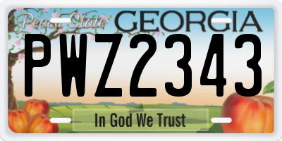 GA license plate PWZ2343