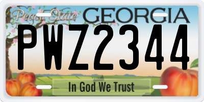 GA license plate PWZ2344