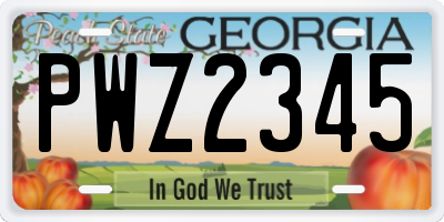 GA license plate PWZ2345
