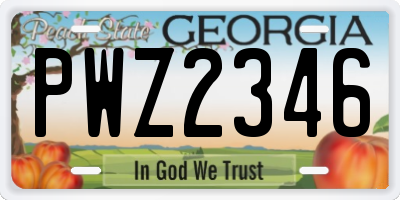 GA license plate PWZ2346