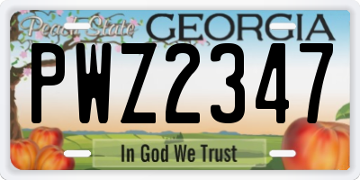 GA license plate PWZ2347