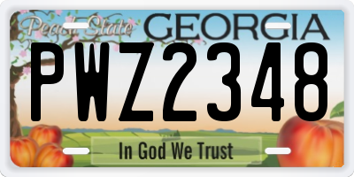 GA license plate PWZ2348