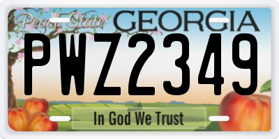 GA license plate PWZ2349