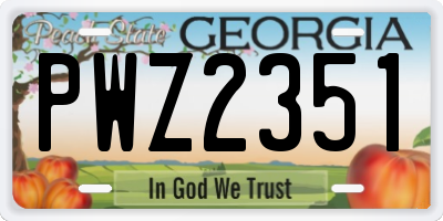 GA license plate PWZ2351