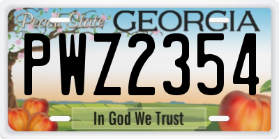 GA license plate PWZ2354