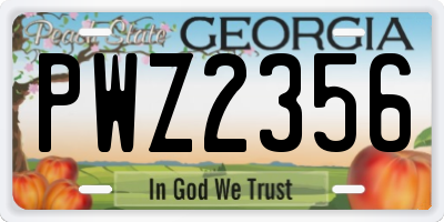 GA license plate PWZ2356