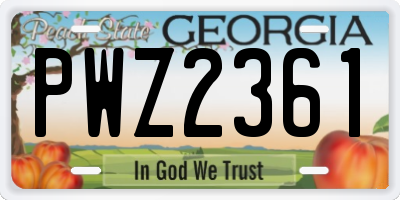 GA license plate PWZ2361