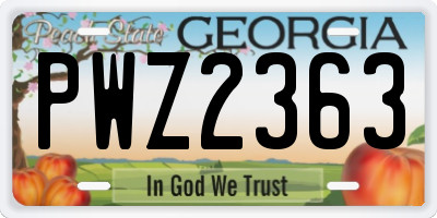 GA license plate PWZ2363