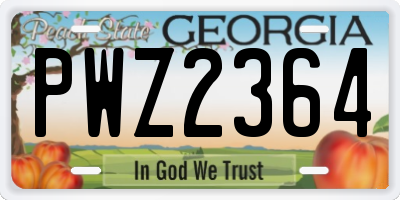 GA license plate PWZ2364