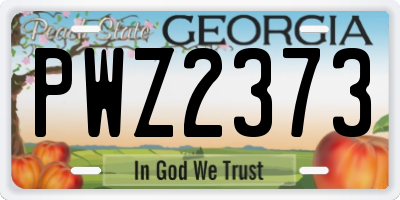 GA license plate PWZ2373