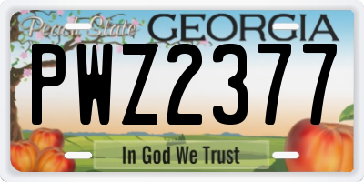 GA license plate PWZ2377