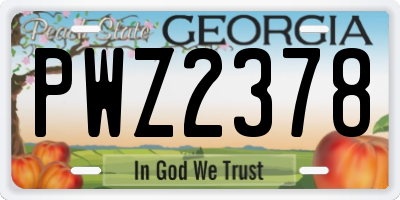 GA license plate PWZ2378