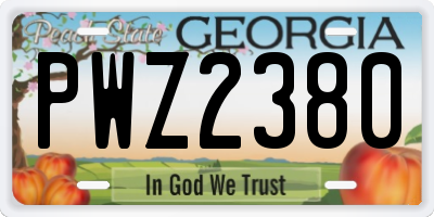 GA license plate PWZ2380