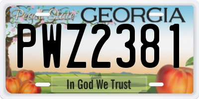 GA license plate PWZ2381