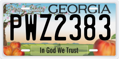 GA license plate PWZ2383