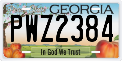 GA license plate PWZ2384