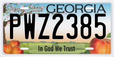 GA license plate PWZ2385