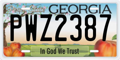 GA license plate PWZ2387