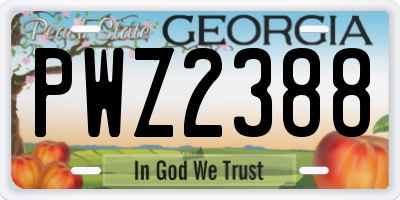 GA license plate PWZ2388