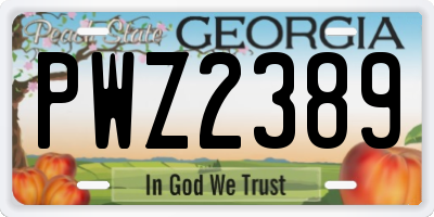 GA license plate PWZ2389