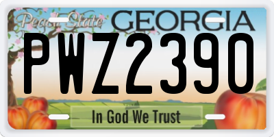 GA license plate PWZ2390