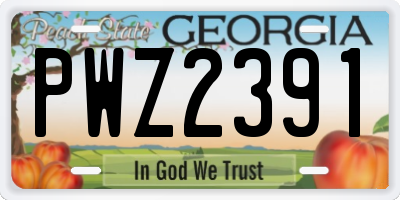 GA license plate PWZ2391