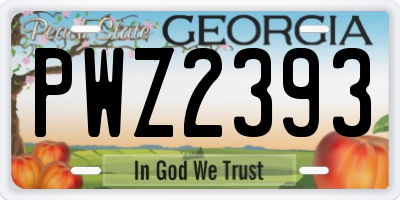 GA license plate PWZ2393