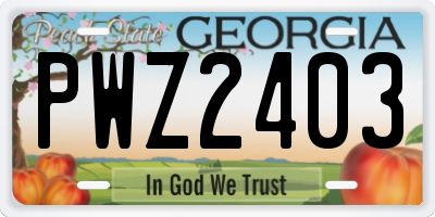 GA license plate PWZ2403